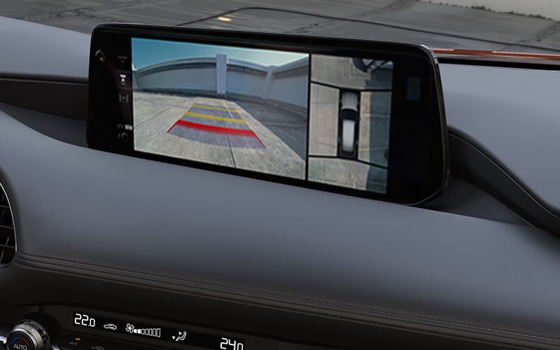 Monitor Vista 360º