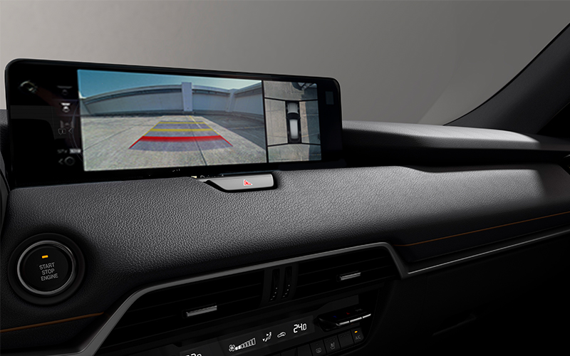 Monitor Vista 360º